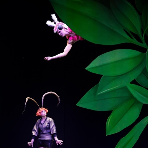 "F&ouml;rderung" der Artenvielfalt auf der Theaterb&uuml;hne &nbsp; &nbsp;