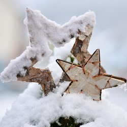 Gartentipps f&uuml;r den Dezember