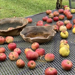 Der Garten schl&auml;ft nie &ndash; Gartenarbeiten im Herbst und Winter &nbsp; &nbsp;