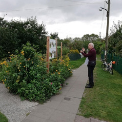 Gemeinschaftsfl&auml;chen gestalten und nutzen &ndash; Grunds&auml;tze und neue Ideen &nbsp; &nbsp;