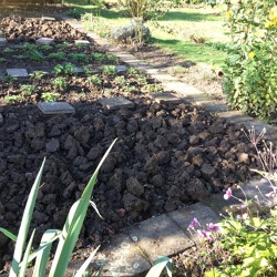 Boden &ndash; mit Knowhow bearbeiten