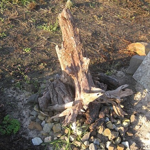 Voller Leben &ndash; wie Totholz den Garten bereichert &nbsp; &nbsp;