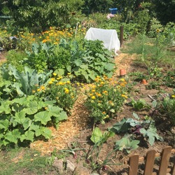 Kleing&auml;rtnerische Nutzung &ndash; das Muss im Garten