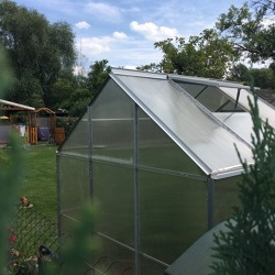 Geschützter Anbau &ndash; ein Gewächshaus im Kleingarten