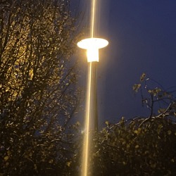 Lichtverschmutzung in unseren G&auml;rten &ndash; in vielen G&auml;rten wird die Nacht zum Tag gemacht