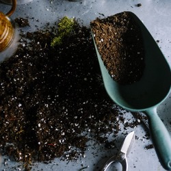 Neues f&uuml;r die Gartenfachberatung - Erfahrungsaustausch