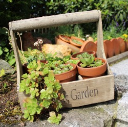 Das w&auml;chst mir &uuml;ber den Kopf