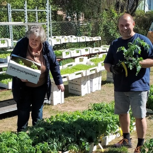 Pflanzenverkauf in der KGA Am Fuchsberg am 26.04.2025